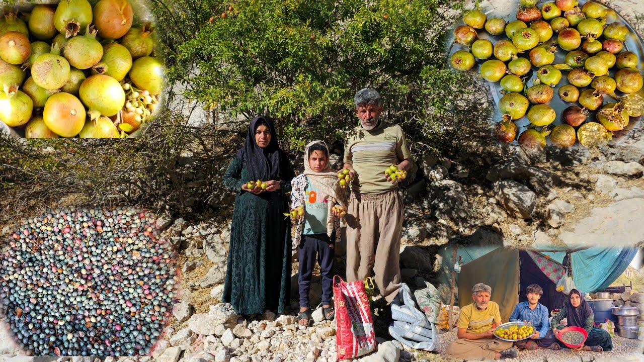 Real Life of Iranian Nomads: Harvesting Wild Pomegranates & Pistachios + Traditional Cooking