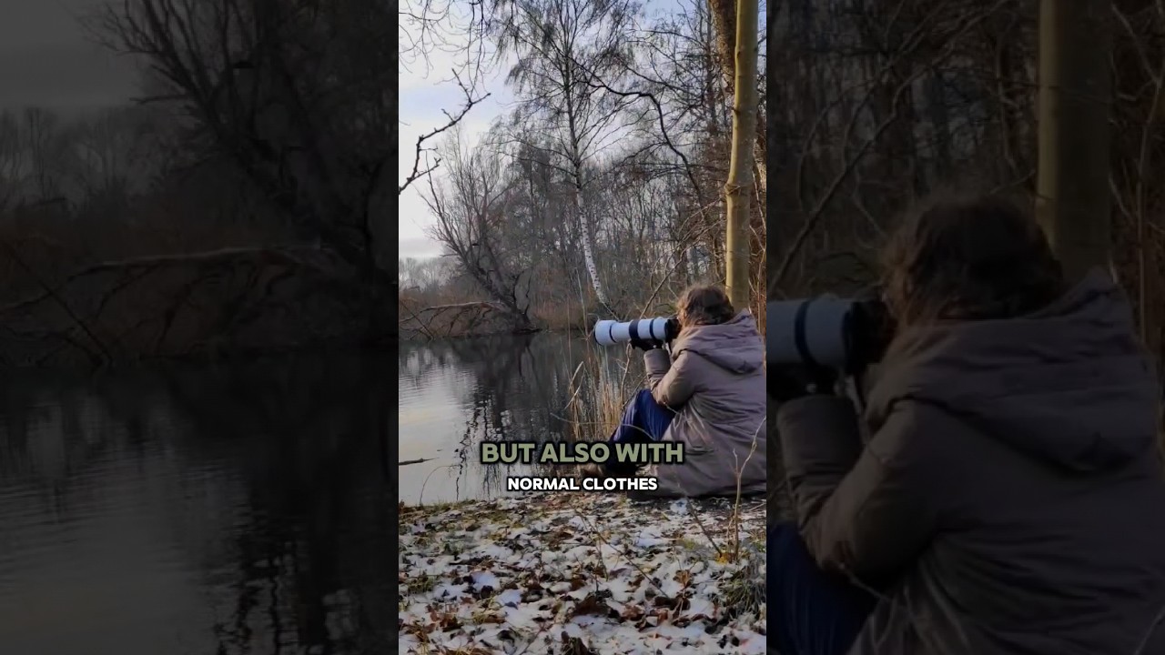Как подобраться к птицам поближе для их фотосъемки