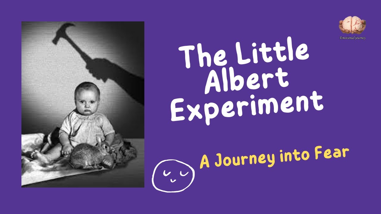 8- The Little Albert Experiment: A Journey into Fear