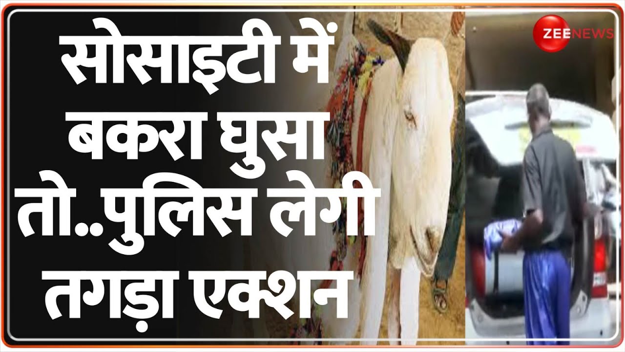 Bakra Eid 2025: बकरीद..क्या आपकी सोसाइटी में कोई बकरा लेकर आया है ? Maharashtra News