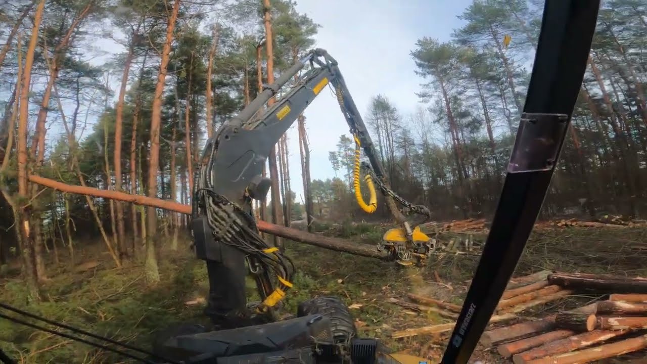 Tniemy, tniemy a lasu nie ubywa🌲Ponsse Ergo🌲Operator Harwestera🌲