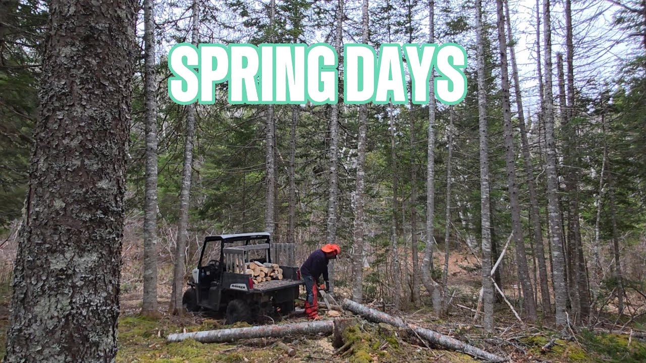 WANNA KNOW! typical OFFGRID chores & Porcupine for dinner #offgridliving #newfoundlandlabrador