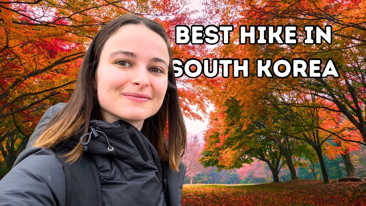 Best Autumn Spot in South Korea | Solo Hiking in Naejangsan