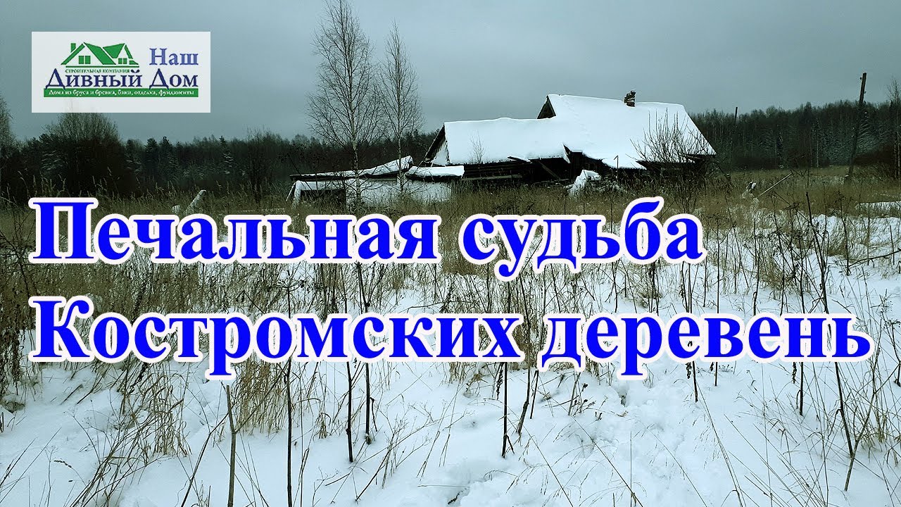 Печальная судьба Костромских деревень. Деревни в Костроме. Обзор  деревни. Деревни в Костромской обл