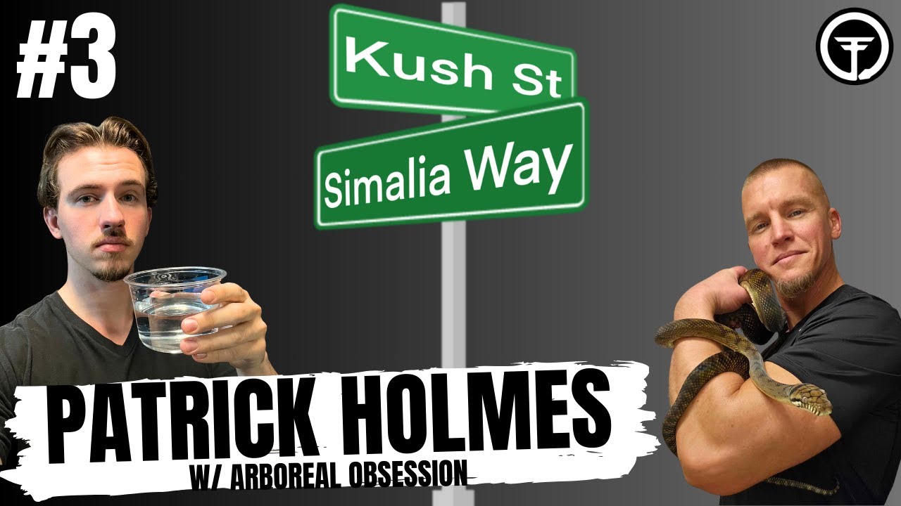 Patrick Holmes talks Scrub Pythons & Venomous Snakes | Kush's Korner Ep.3 LIVE