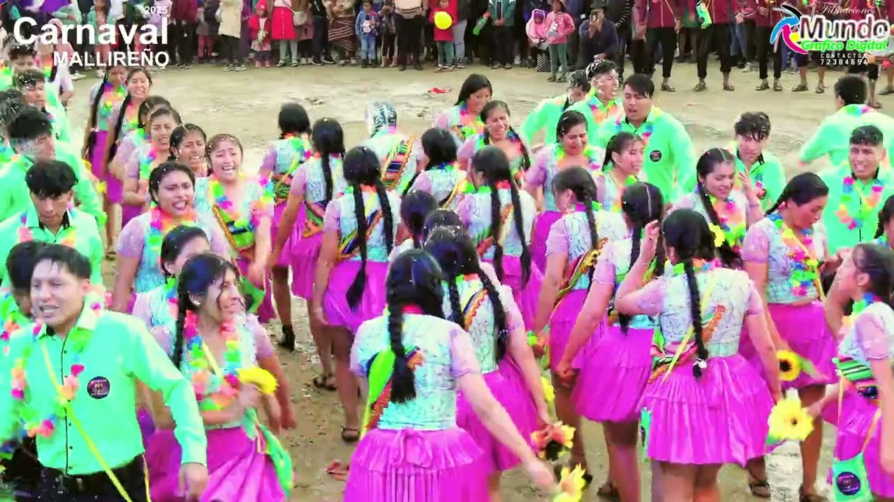 FARANDULA CARNAVAL MALLIREÑO 2025