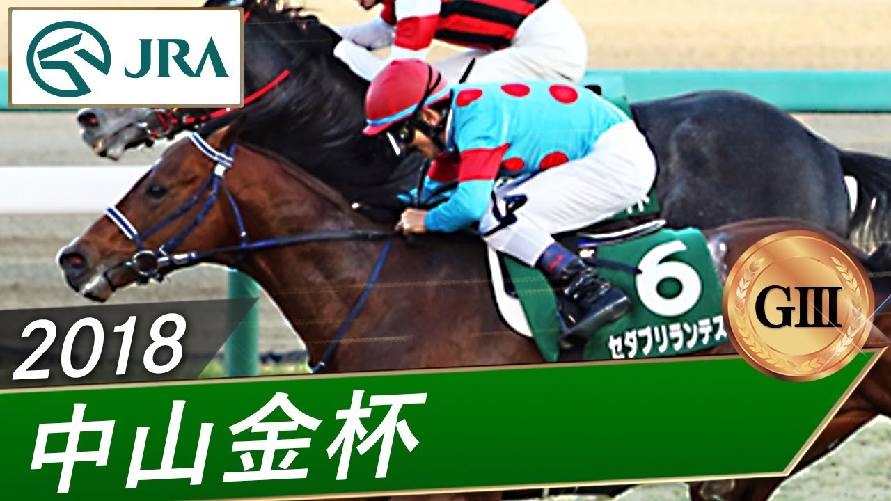 2018年 中山金杯（GⅢ） | セダブリランテス | JRA公式