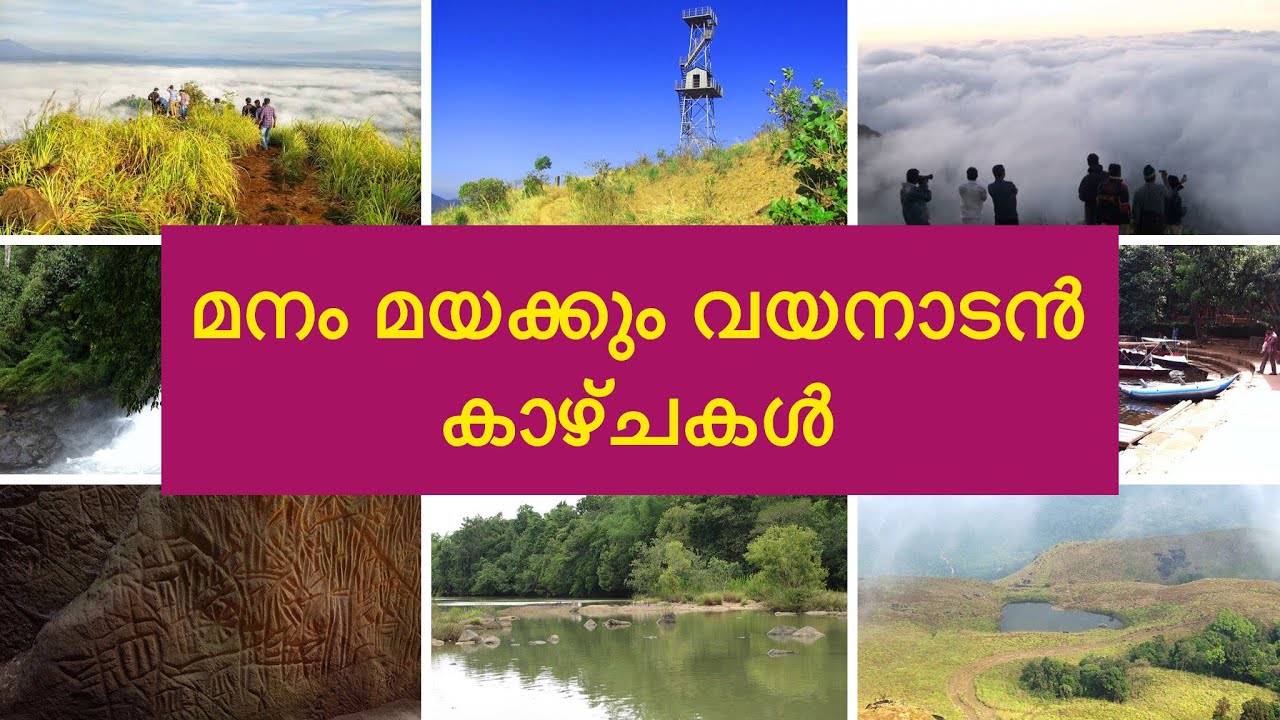 Top 10 places to visit in Wayanad, Kerala, India