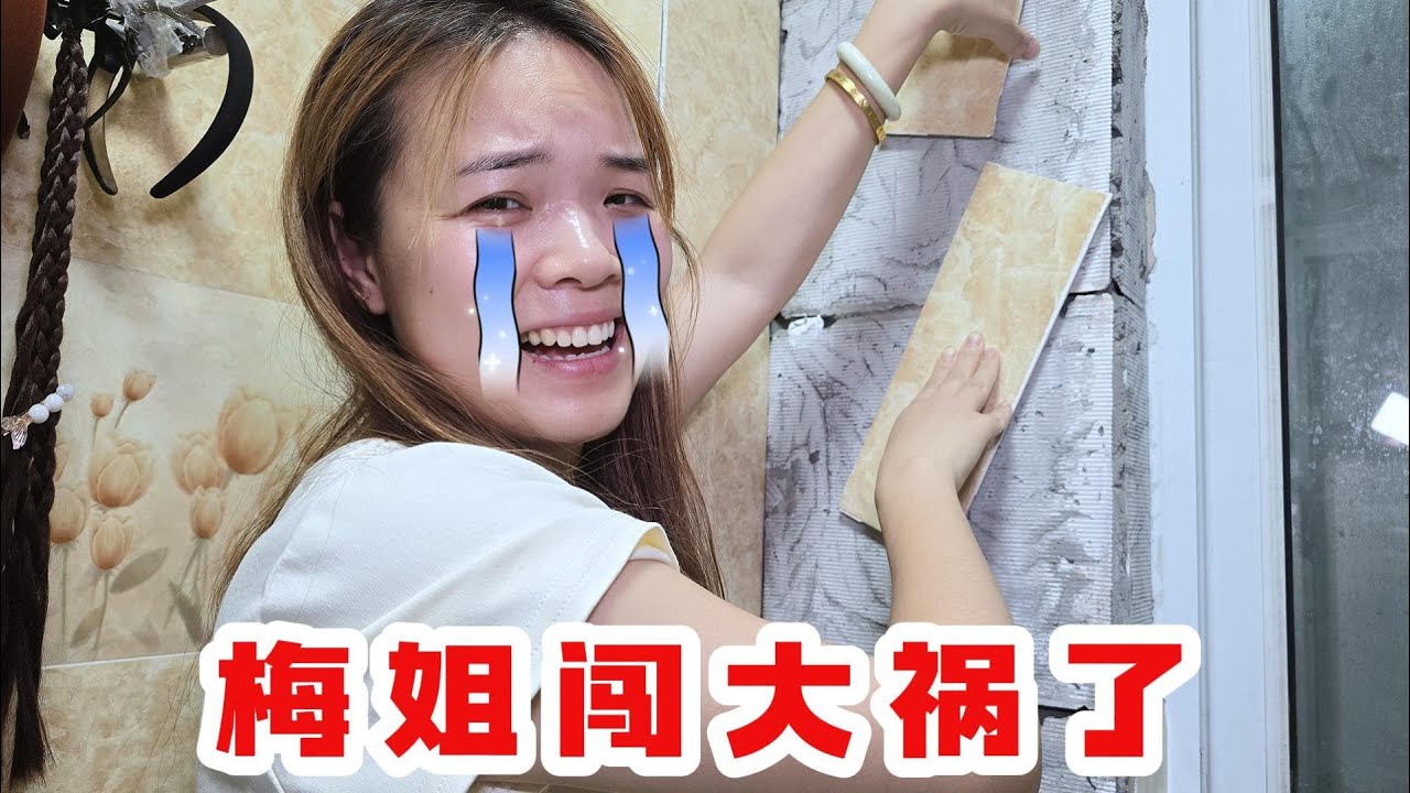 梅姐闯祸了，老苗带大家深入的了解一下他们的家