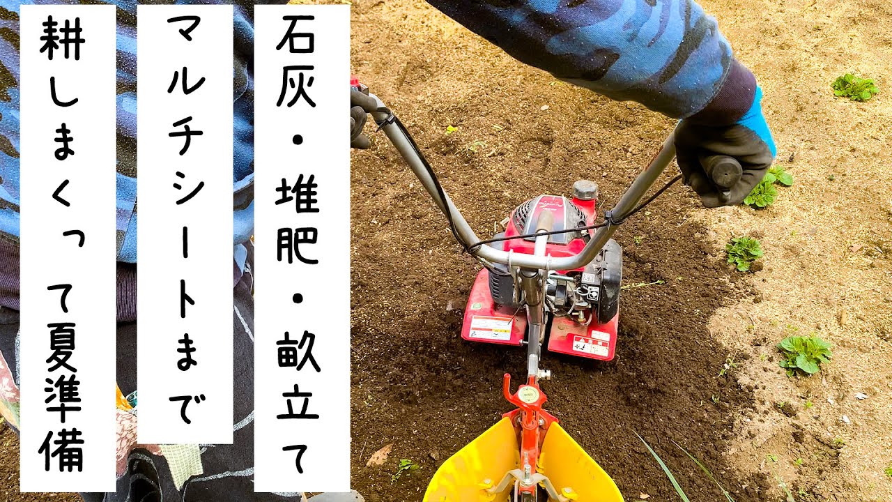 【家庭菜園】野菜づくりの基本♪石灰/堆肥で土作り〜耕運機で耕す〜畝立て〜マルチシートまで一挙公開！準備編