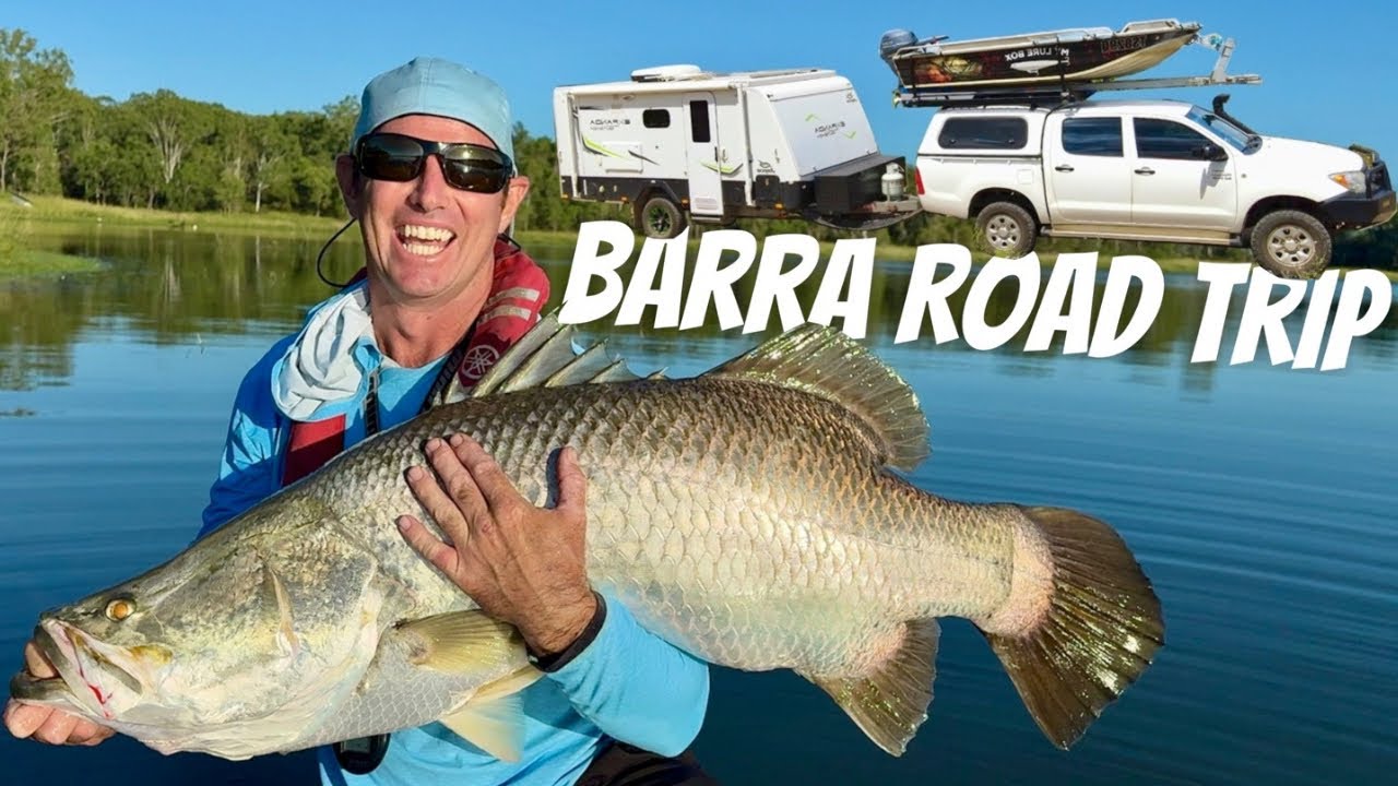 Lake Monduran Topwater Barra!