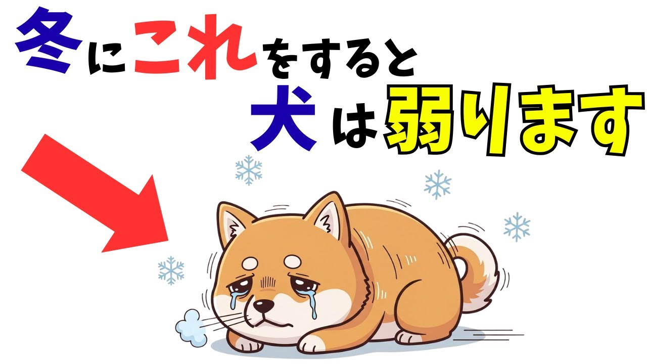 【お願い】犬から伝えたい冬のNG行動