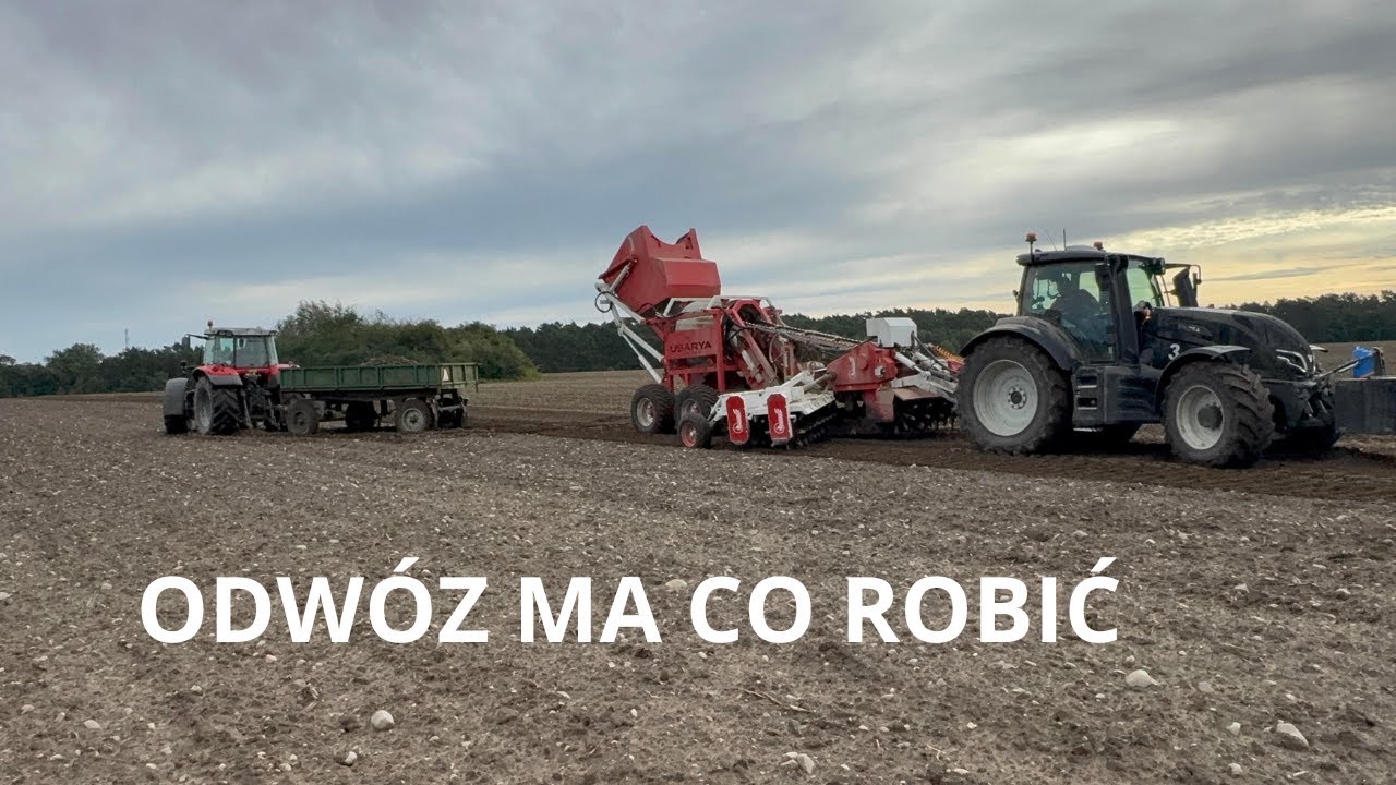 Zaczynam sezon zbierania kamieni od rekordowego plonu