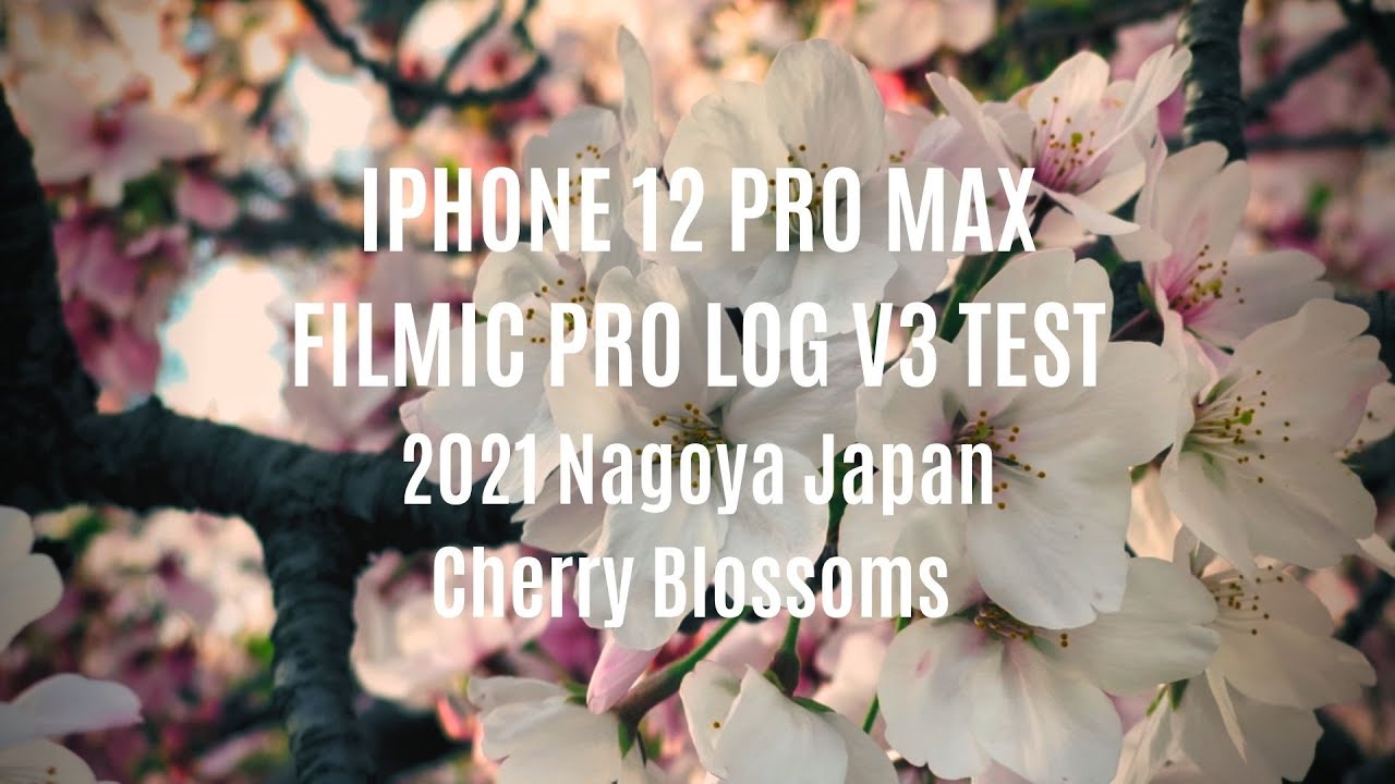 iPhone 12 Pro Max | FiLMiC Pro Log V3 Test | 2021 Cherry blossoms in Nagoya Japan