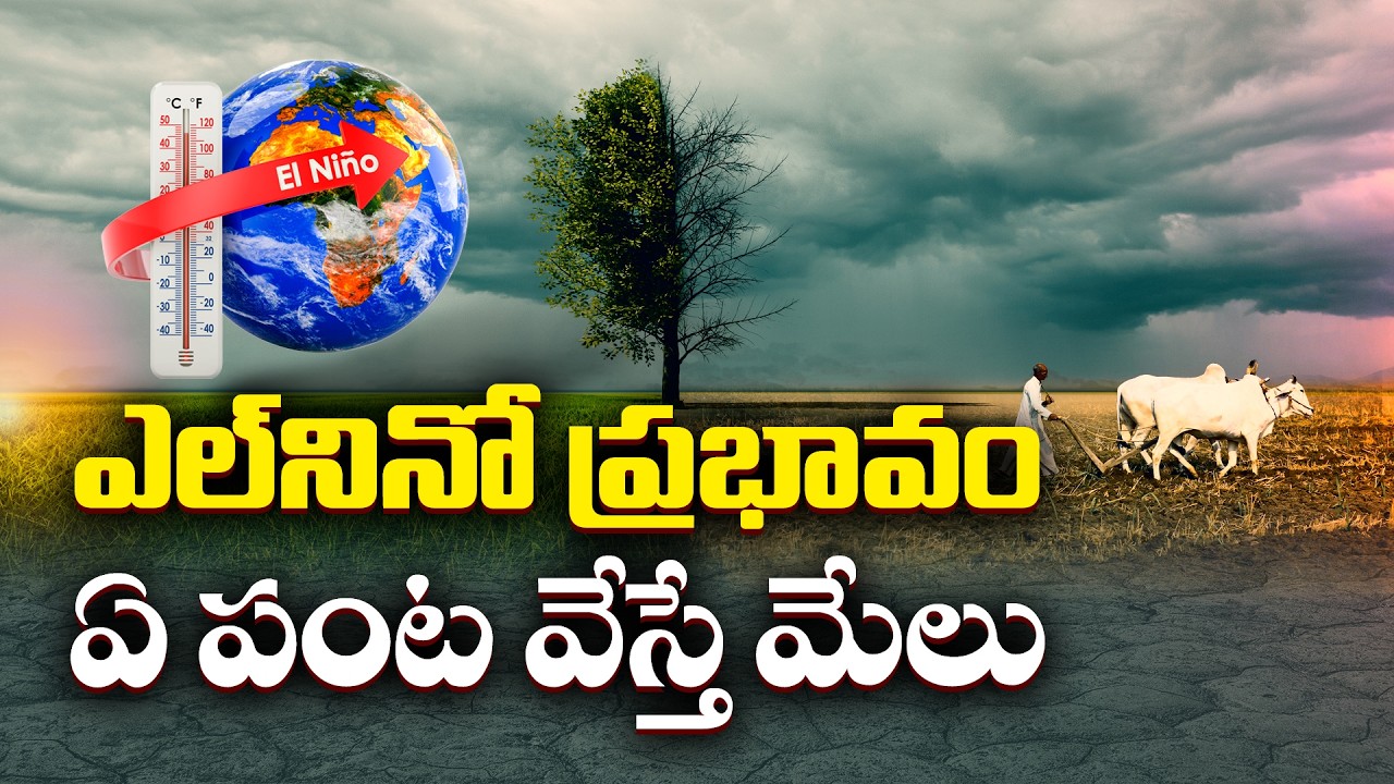 El Ni&ntilde;o Impact on Kharif Season | Interview with Agriculture Director B. Gopi || Idi Sangathi
