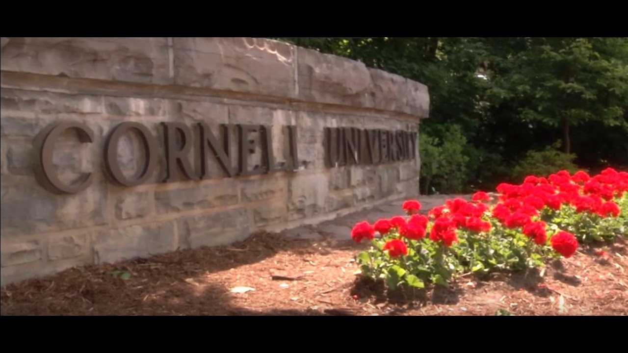 Walmart Innovation Fund: Cornell University