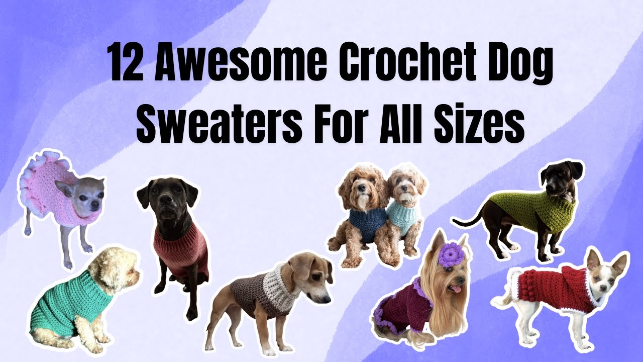 12 Awesome Crochet Dog Sweaters For All Sizes    The Yarn Crew