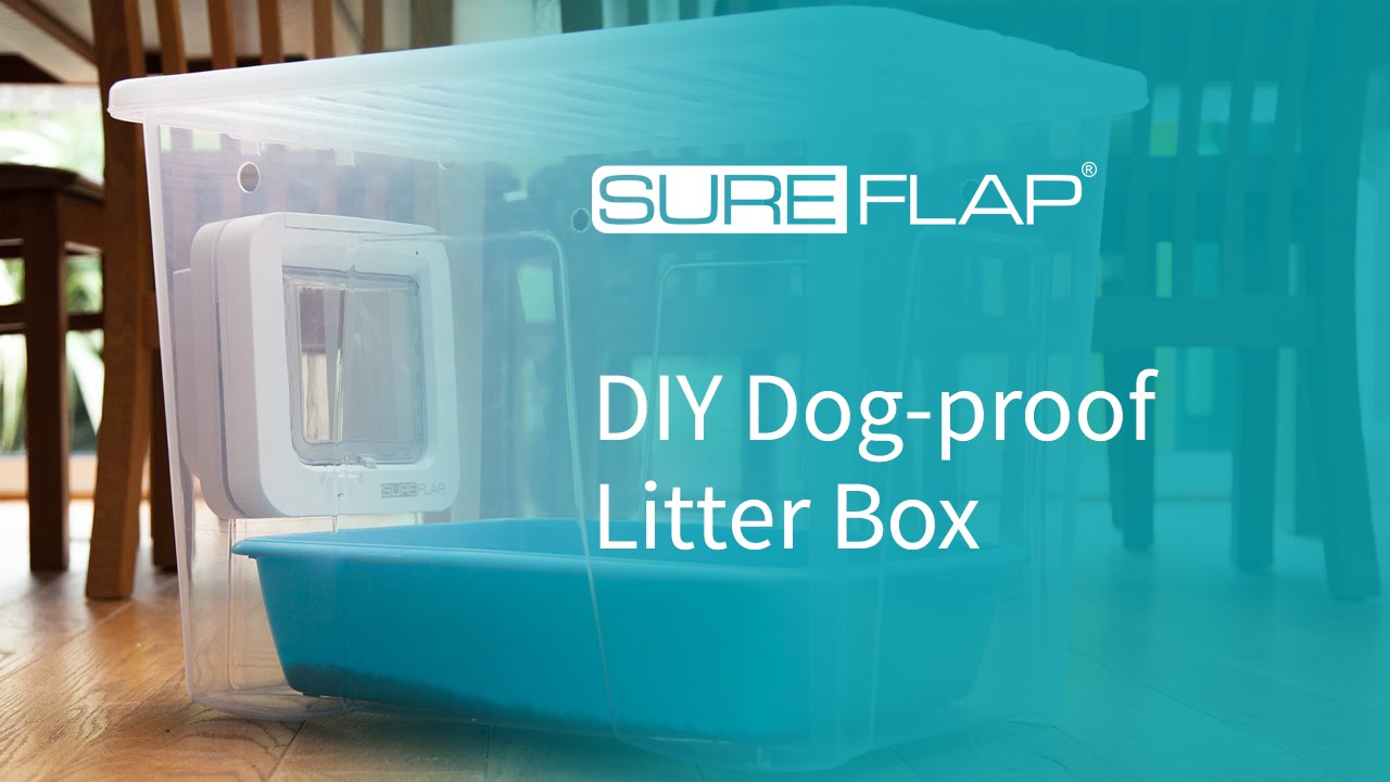 DIY Dog-proof Litter Box from SureFlap