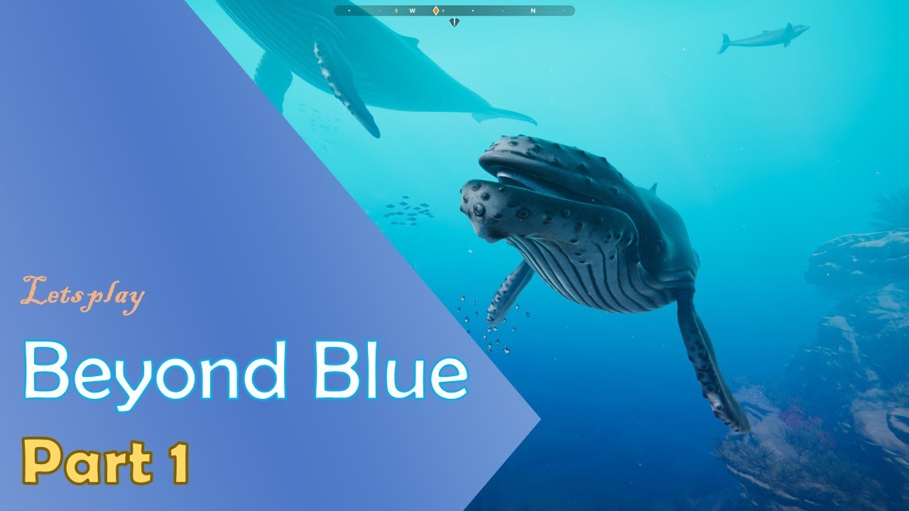 Let's Play: Beyond Blue | Part 1 - A New Adventure