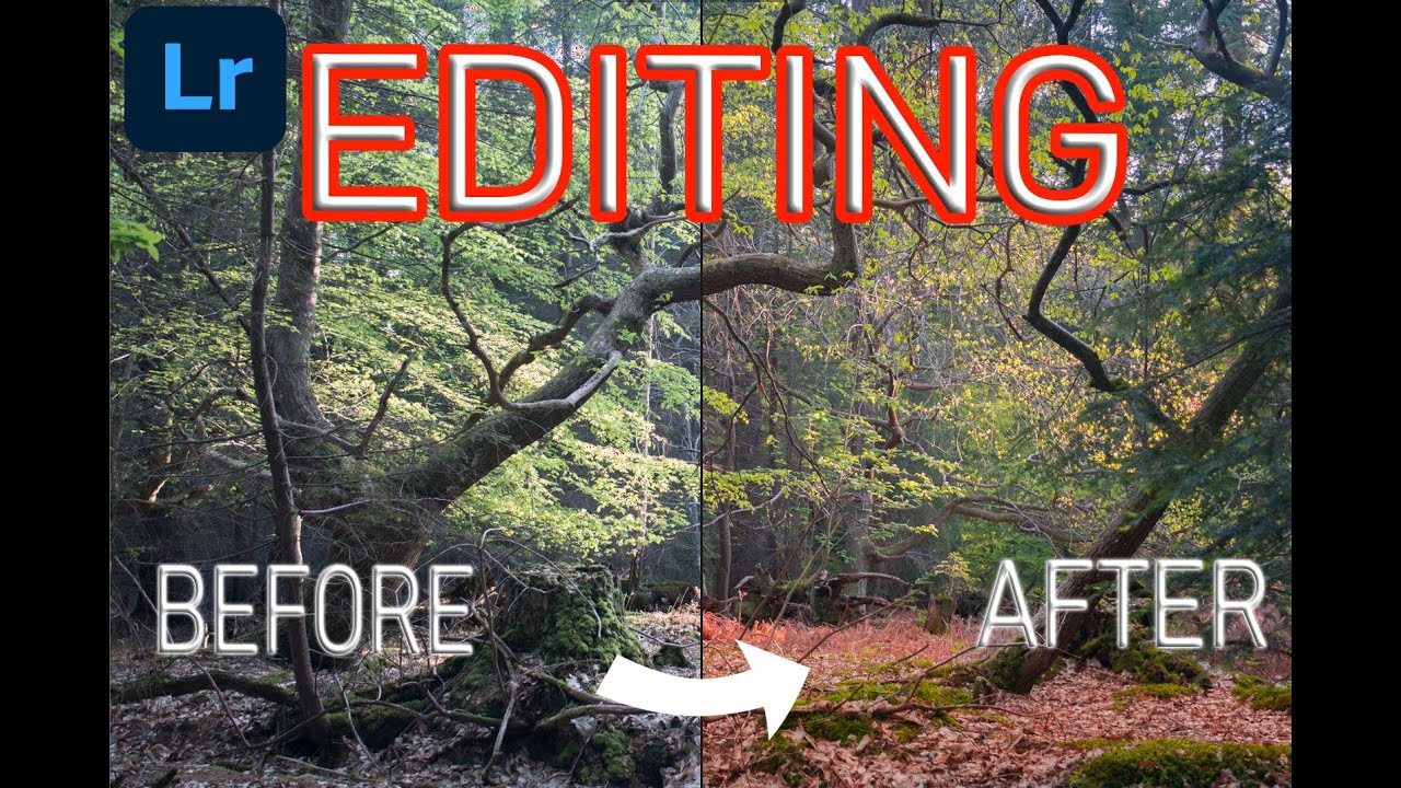 TIPS ON  HOW TO EDIT WOODLAND PHOTOGRAPHY | LIGHTROOM | LANDSCAPE PHOTOGRAPHY