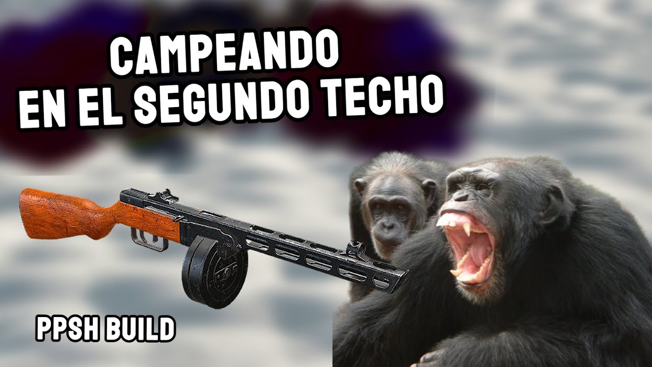 Campeando en el segundo Techo // Build PPSH.