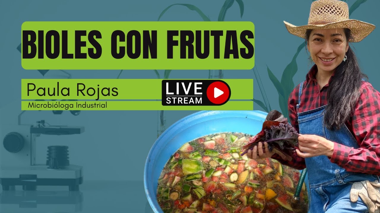 Bioles con frutas