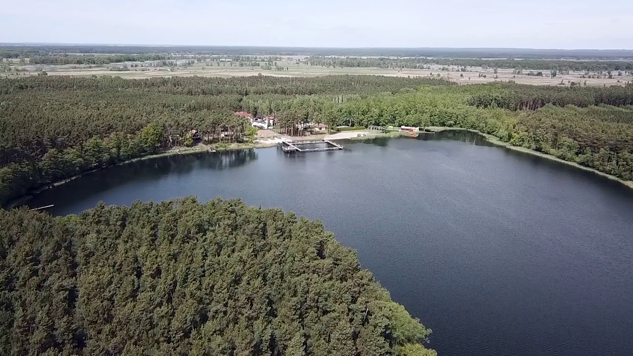 LUBUSKIE z DRONA: Jezioro Borek (Kosarzyn)