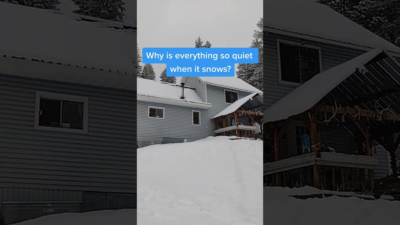 Silence in the Winter Mountains: Off-Grid Living at Its Finest 