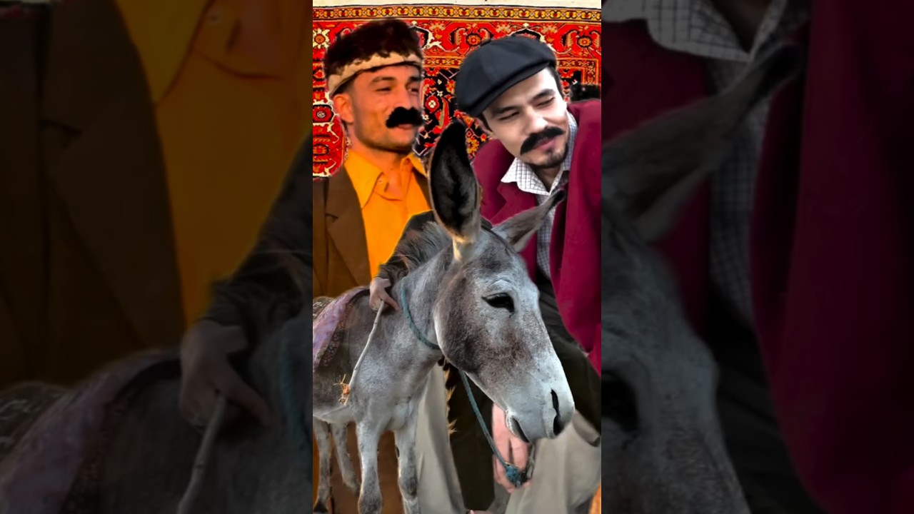 Afrikaga Eshak bilan🏃😂😂#murad #buxarskiy #rek