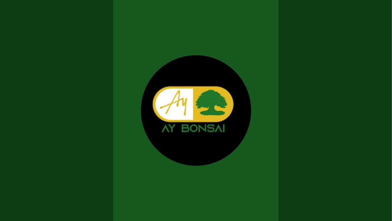 Ay Bonsai sedang live sekarang!