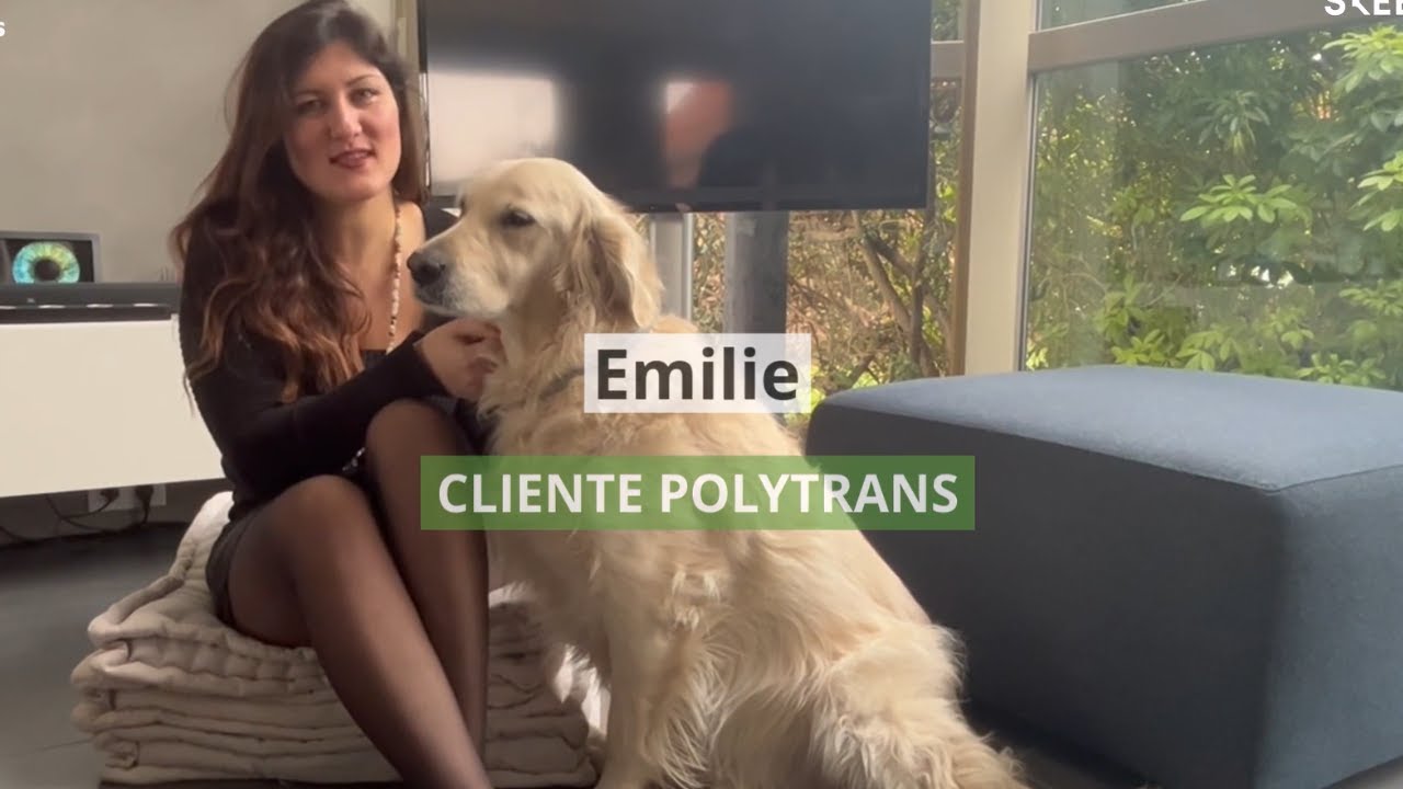 Test et avis - Harnais Handidog™ d'antérieur pour chien à mobilité réduite ou handicapé