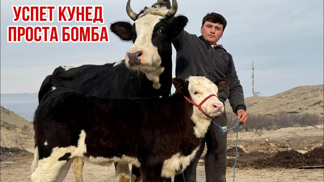 МОЛХОИ ЗОТИ ШИРИ 21 января 2026 г.