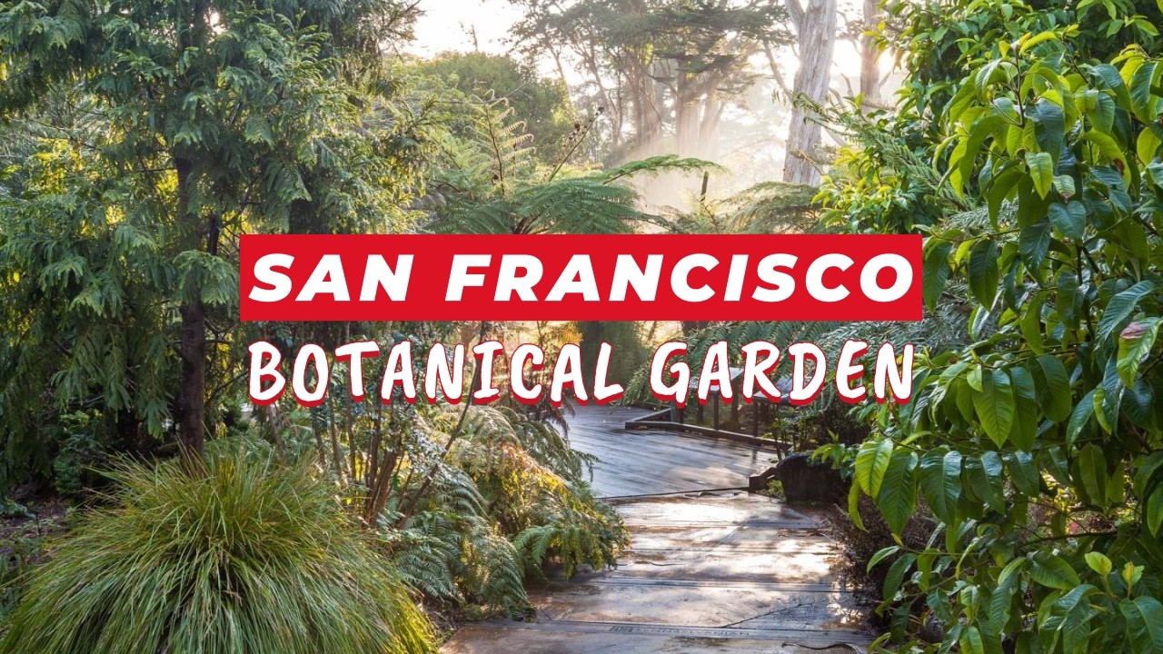 A Spring Day in San Francisco's Most Beautiful Gardens 🌿 Relaxing 4K Walking Tour