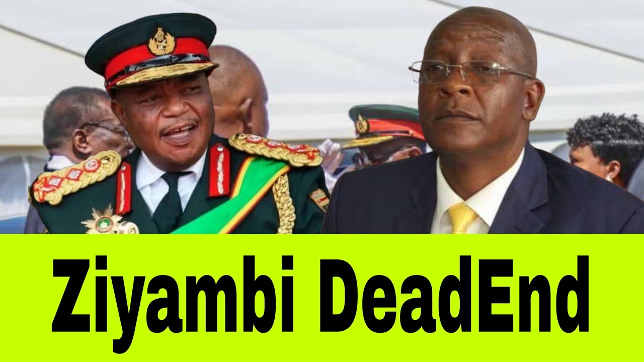 Ziyambi & ZANU PF GANG is under attack -  PAKAIPA