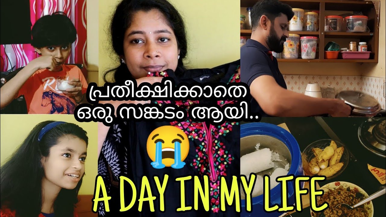 ഒരു സങ്കടം പറയാനുണ്ടേ..| A Day In My Life | PRARTHANA'S FOOD & CRAFT