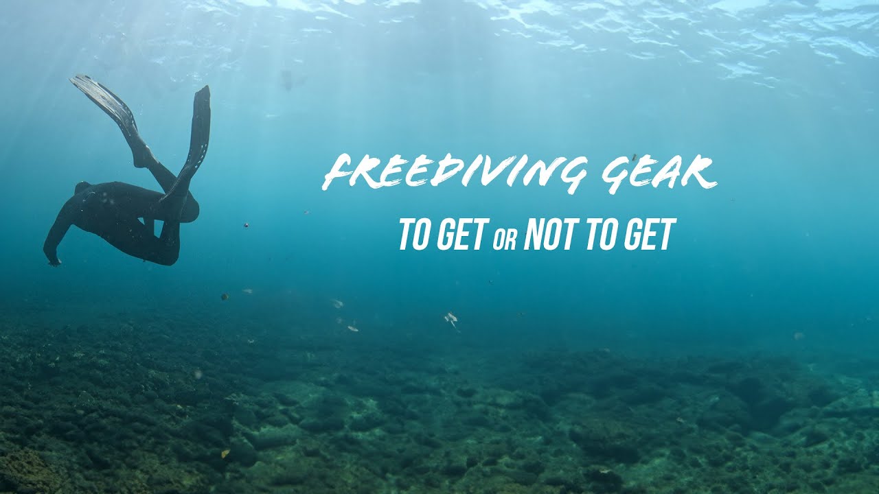 vlog3: Beginner freediving gear!