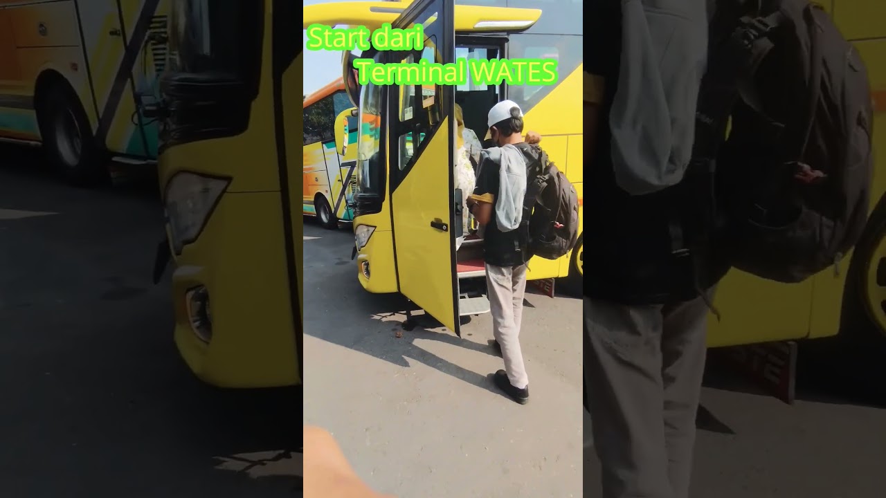 Bus Tividi Gold Class 