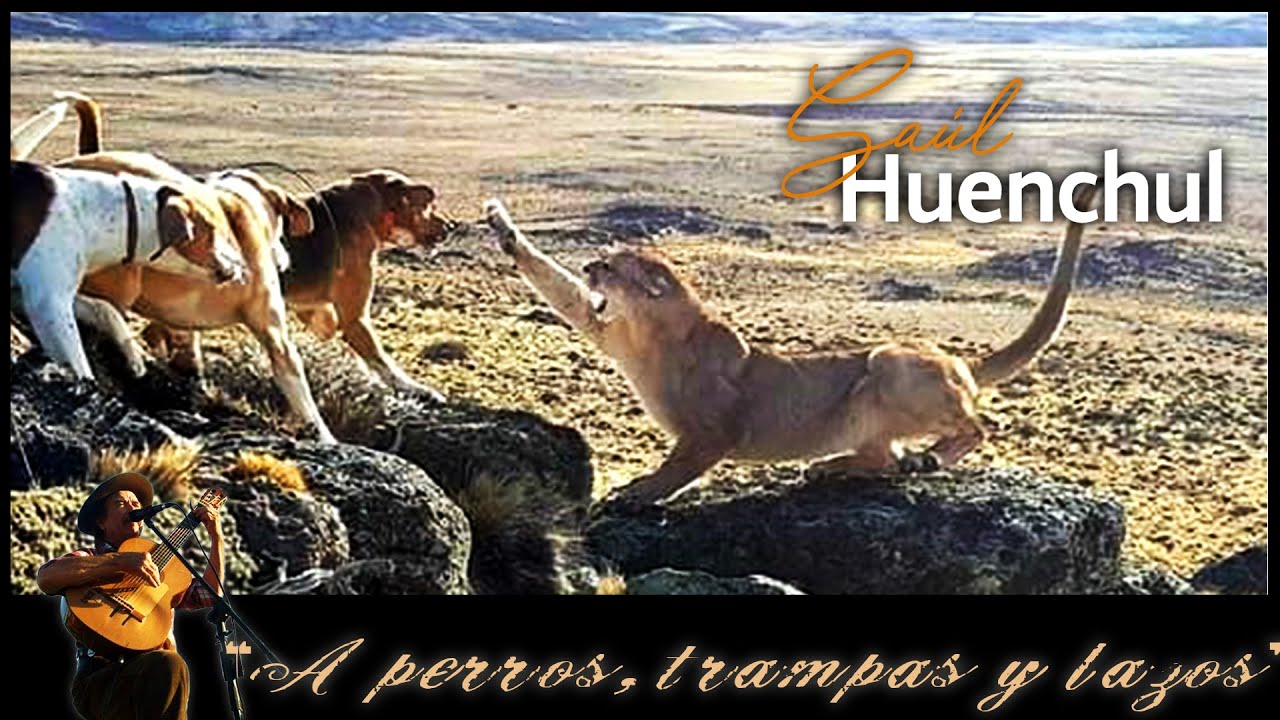 Saul Huenchul - A perros, trampas y lazos