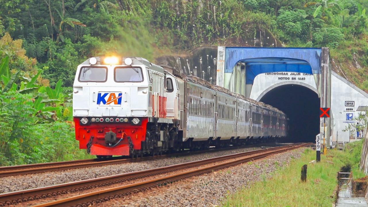 KERETA API PANJANG‼️ MENEMUKAN 25 KERETA API MELINTAS DI JEMBATAN DAN TEROWONGAN