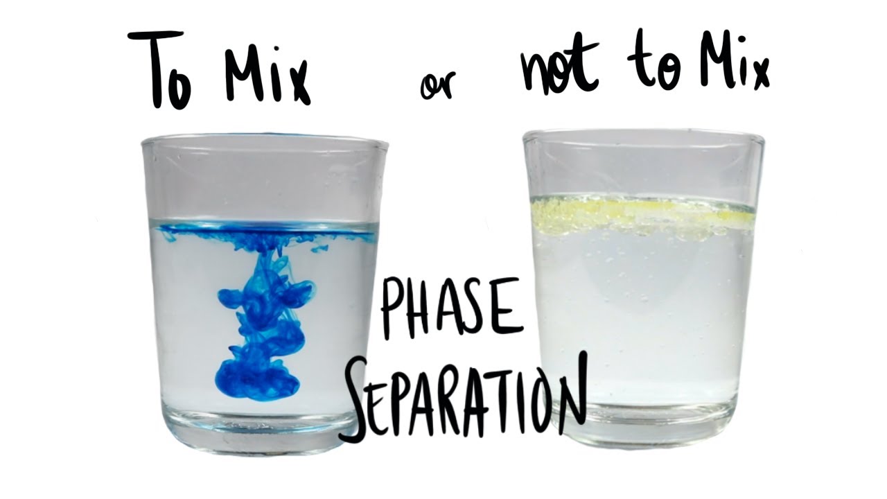 A quick intro to Phase Separation