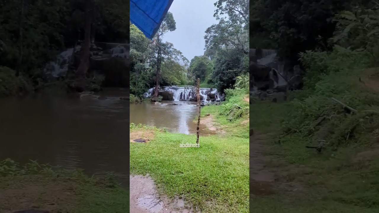 Sakleshpur private water fall homestay #sakleshpur #homestays #atavihomestay #resortsinsakleshpur