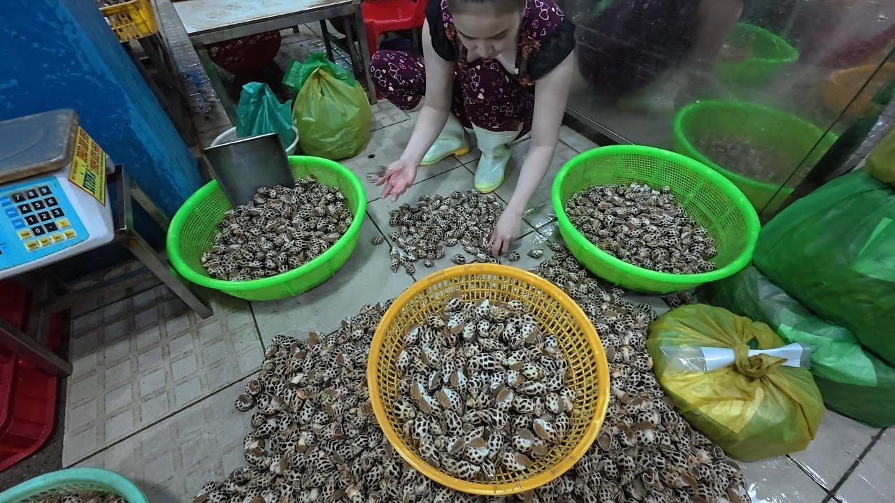 chợ lên cá quá nhiều gặp phải bầy cá quá xá lâu mới lên chợ