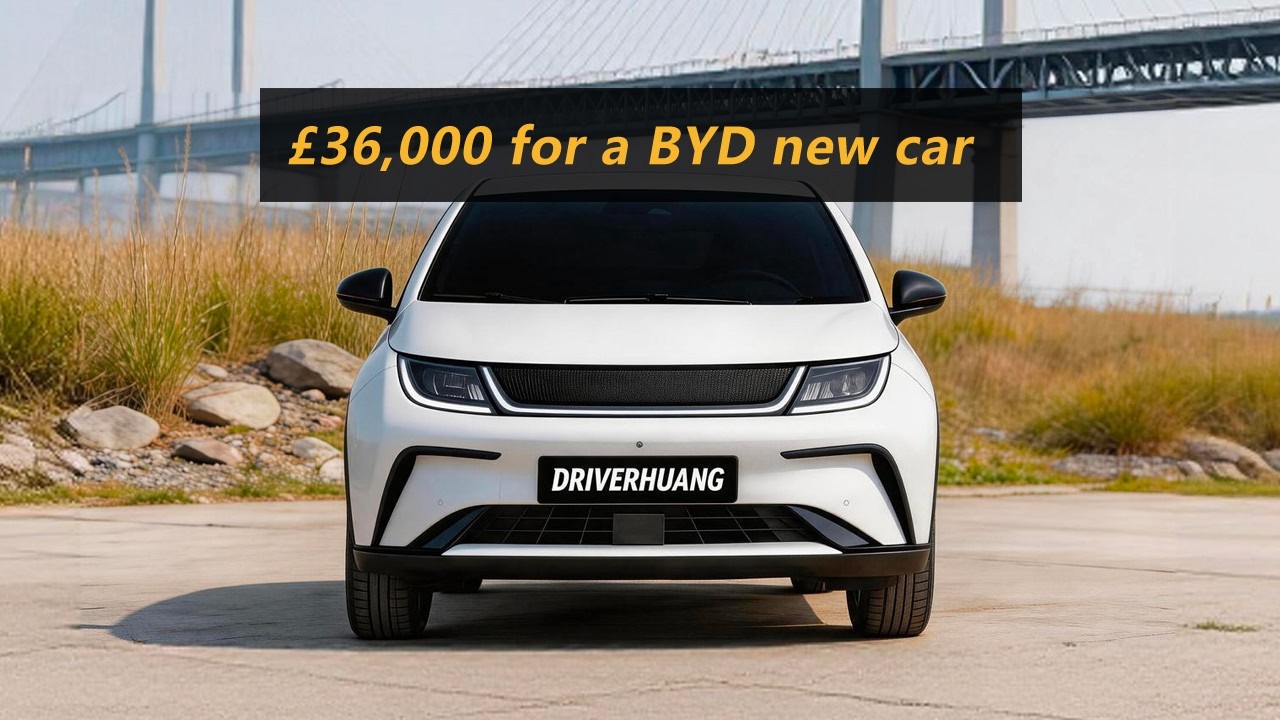 NEW BYD COMING: Dolphin Cargo!