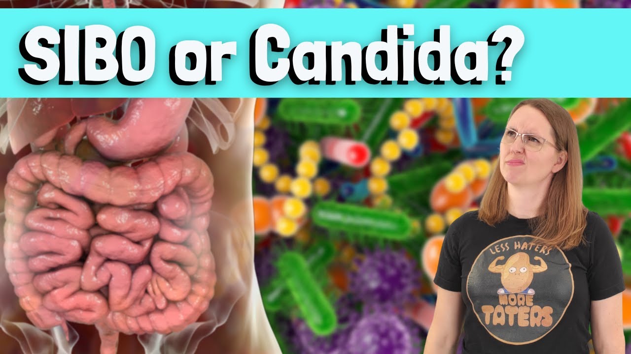 SIBO и Candida: как отличить