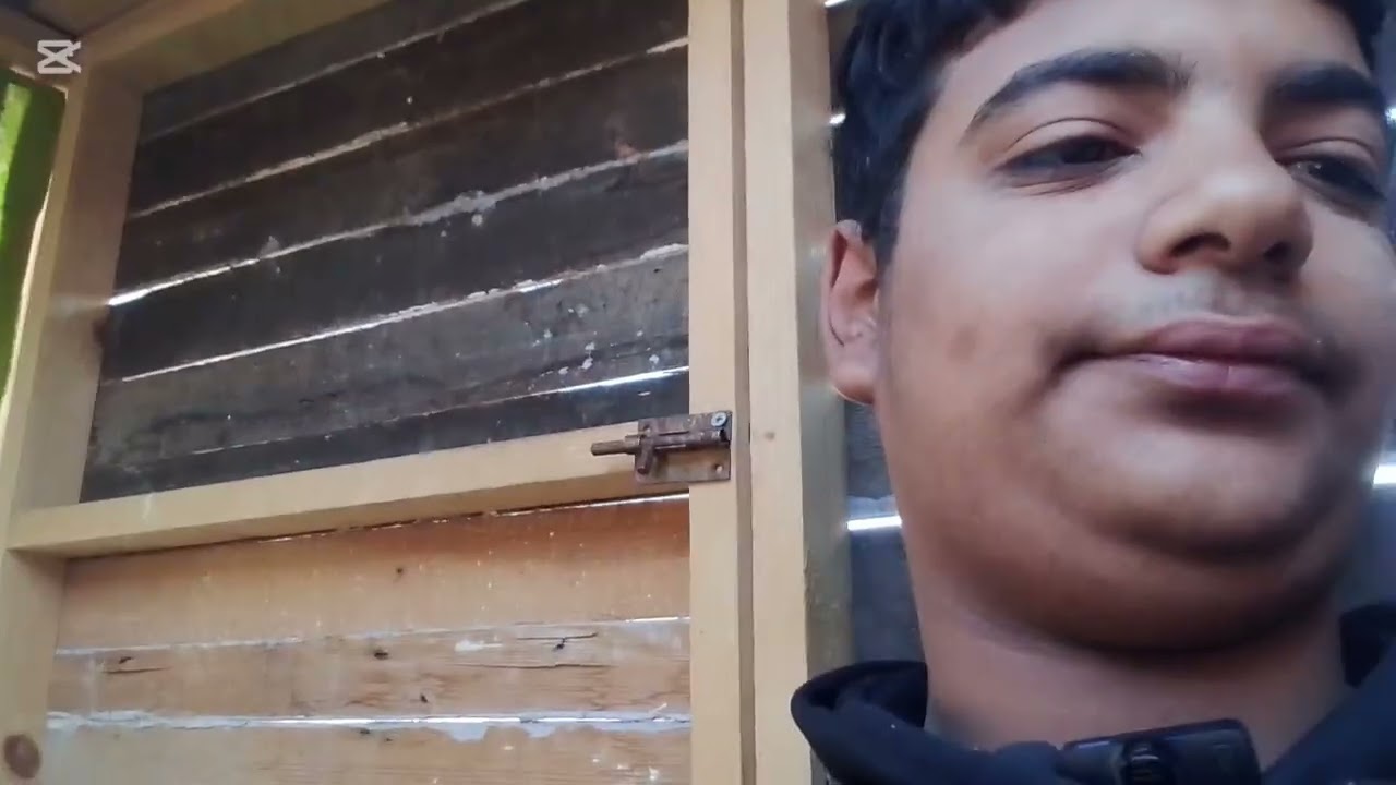 يوم كامل عند الحمام