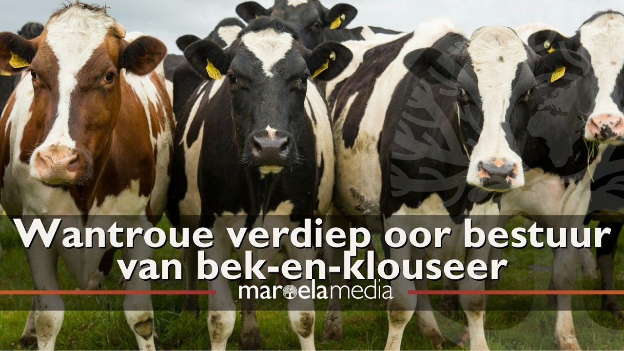 Wantroue verdiep oor bestuur van bek-en-klouseer