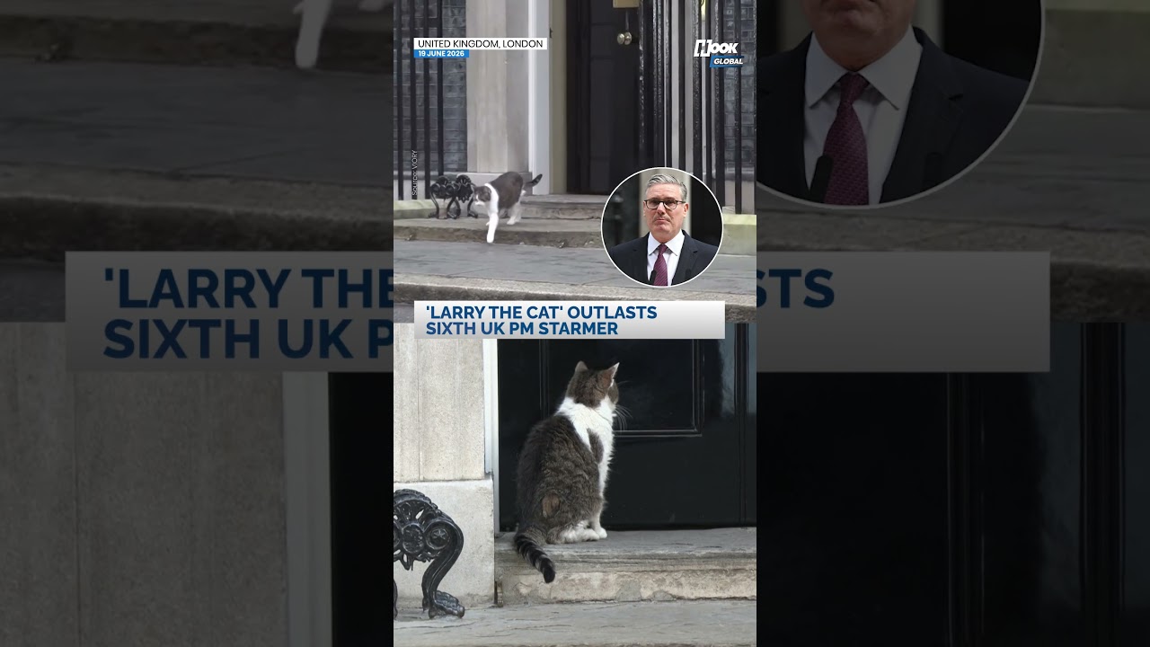 Six PMs, nine lives: Downing Street's 'chief mouser' Larry the Cat outlasts another leader