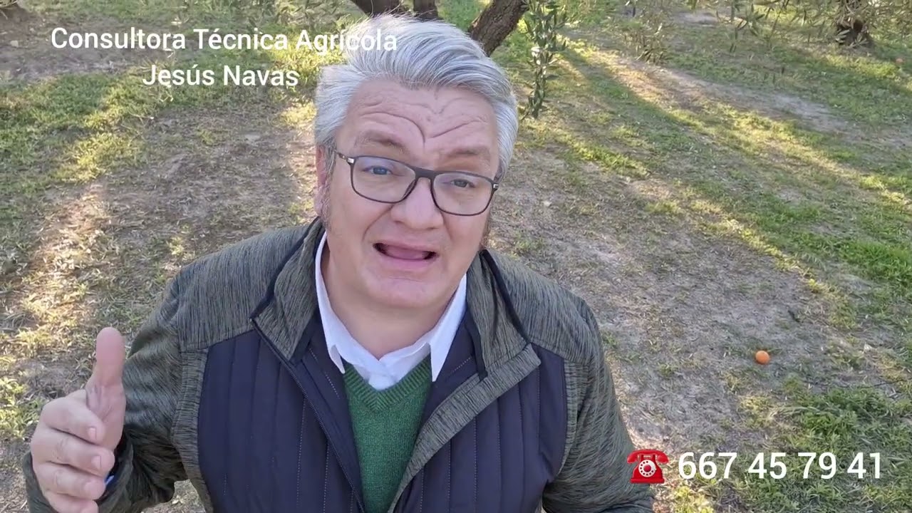 Abonado Suelo Primavera Olivar