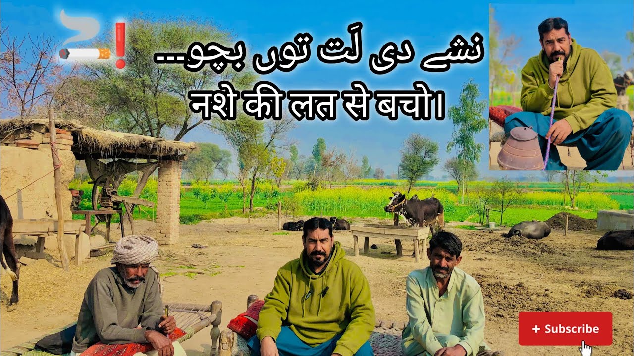Wisdom Message in Punjabi | ਇਨਸਾਨੀਅਤ ਦਾ ਪਾਠ | Zaheer Farooqi Chichawatni Vlog