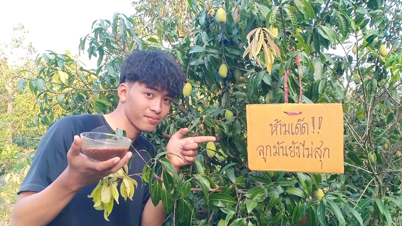 หวังว่าจะไม่โดนด่าหนักกว่าเดิมนะ แต่ก็ไม่ได้เด็ดตามป้ายยายคงไม่ว่า.